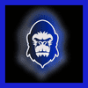 Logo da HEADSBET